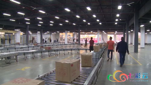 中國-東盟（河口）跨境電商物流產(chǎn)業(yè)園開園 陜西貨物進(jìn)出口迎來新通道