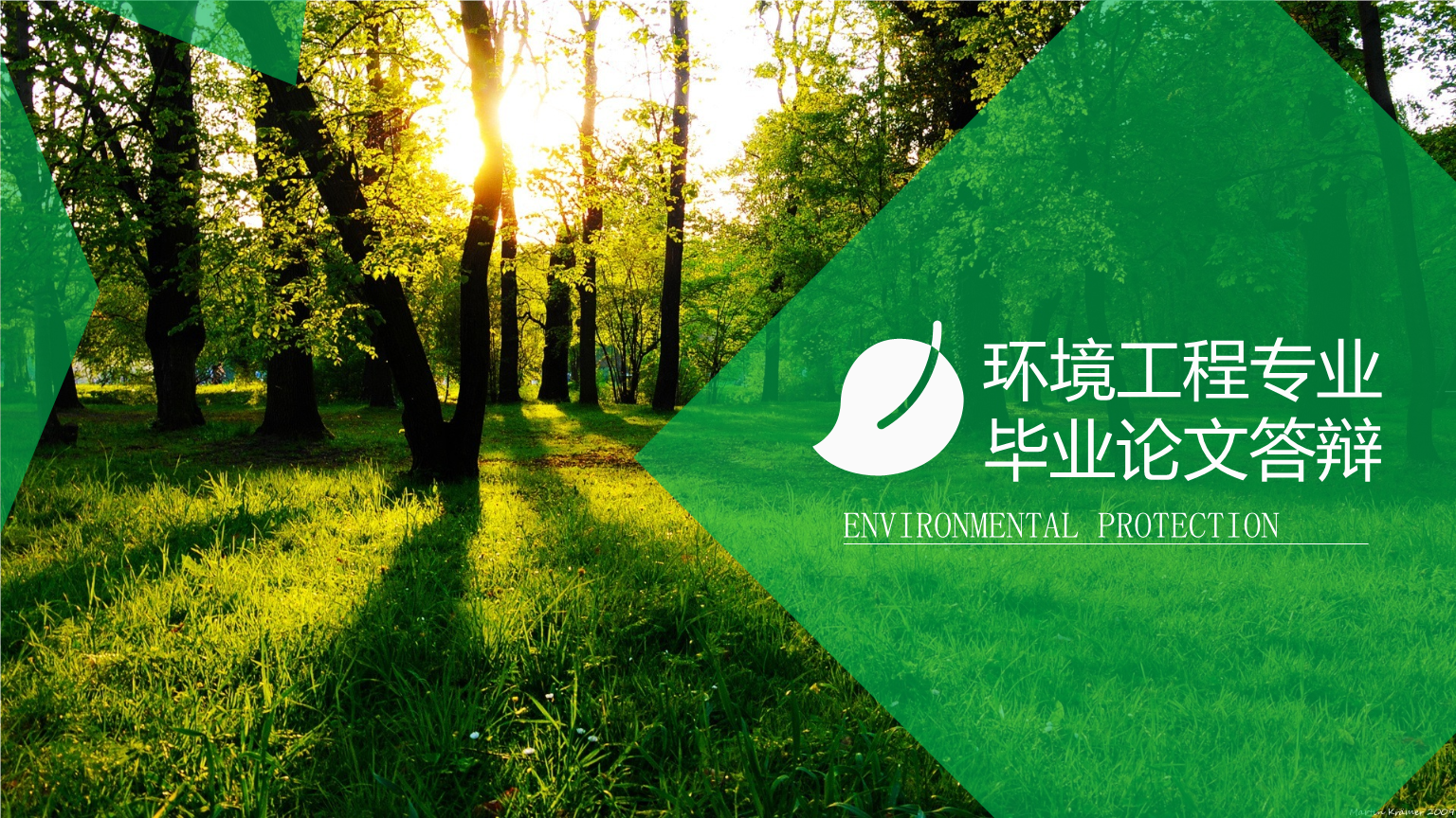 環境工程專業畢業論文答辯 基于生態修復技術在環保工程中的應用與效益分析